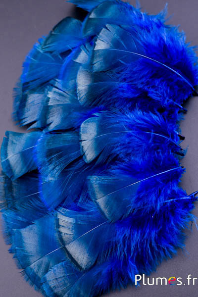 Turkije - 5-15 cm gebleekt - blauw-karamel